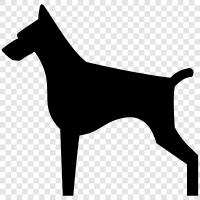 dog food, dog shelter, dog training, dog breeds icon svg