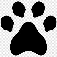 Dog Footprints, Dog Footprints in Grass, Dog Paw Prints, Dog Footprint icon svg