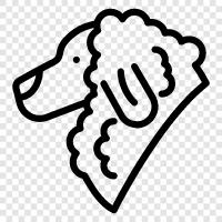 dog, breed, pets, borzoi icon svg