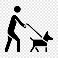 dog walking tips, dog walking gehorsam, dog walking training, dog walking geschirr symbol