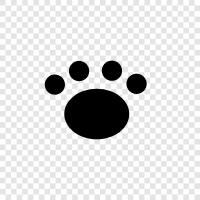 dog, animal, pet, furry icon svg