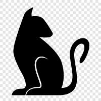 domestic cat, house cat, feline, felines icon svg