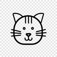 domestic cat, house cat, pet cat, cuddle cat icon svg