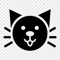 domestic cat, house cat, cattery cat, feral cat icon svg