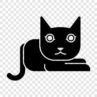 domestic cat, house cat, stray cat, pet cat icon svg