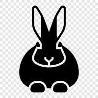 Domestic Rabbit, House Rabbit, Pet Rabbit, Rabbit icon svg