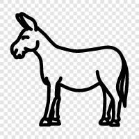 donkey icon svg