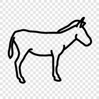 donkey icon svg