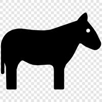 donkey icon svg