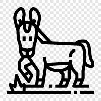 donkey icon svg