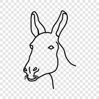 donkey icon svg