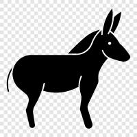 eşek, donkey ikon svg