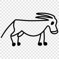 donkey icon svg