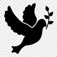 Taube des Friedens Symbol, Taube des Friedens Tapete, Taube des Friedens Zitate, Taube des Friedens symbol