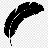 down, plume, quill, fan icon svg