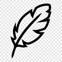 down, plume, quill, shaft icon svg