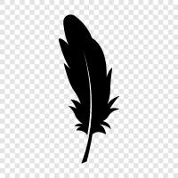 down, plume, quill, fan icon svg