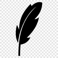 down, quill, plume, shawl icon svg