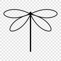 Dragonflies icon