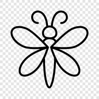 dragonflies, insects, flying, flying insects icon svg