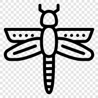 dragonflies, dragonfly larvae, dragonfly pictures, dragonfly hunting icon svg