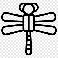 dragonfly, dragonflies, dragonfly larvae, dragonfly habitat icon svg