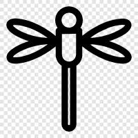 dragonfly icon svg