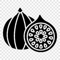 dried figs, figs for eating, figs for cooking, fig icon svg