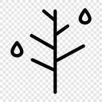 droplets, drizzle, shower, downpour icon svg