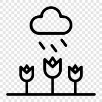drops, rainfall, thunder, lightening icon svg