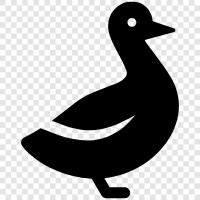 Duck icon svg