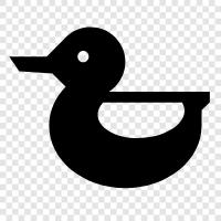 Duck icon svg