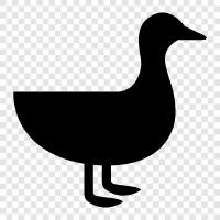 Duck icon svg