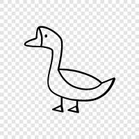 Ördek, Duck ikon svg