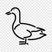 Duck icon svg