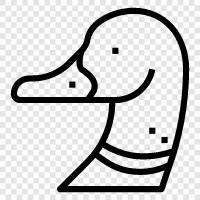 Duck icon svg