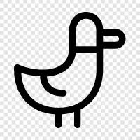 Duck icon svg