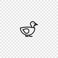 Duck icon svg