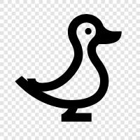 Duck icon svg