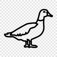 Duck icon svg