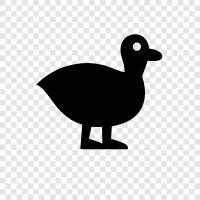 duck icon svg