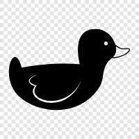 Duck icon svg