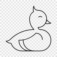 Duck icon svg