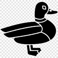 duck icon svg