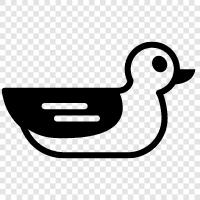 duck, duck. aquatic icon svg