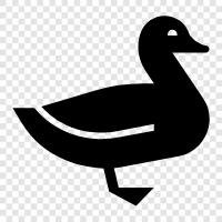 Duck icon svg