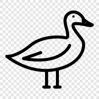 ördek, duck ikon svg