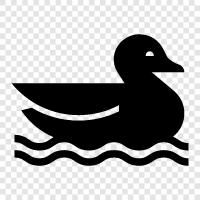 Duck icon svg