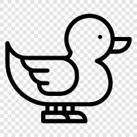 duck icon svg