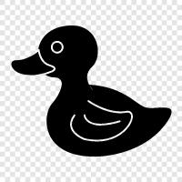 duck hunting, hunting, duck hunting equipment, duck hunting tips icon svg